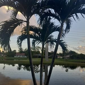 Meet your Posher, Benjamin